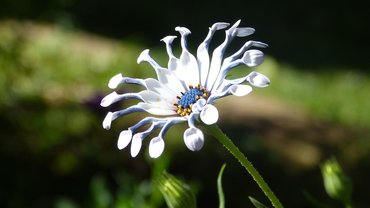 The Benefits of Organic Gardening